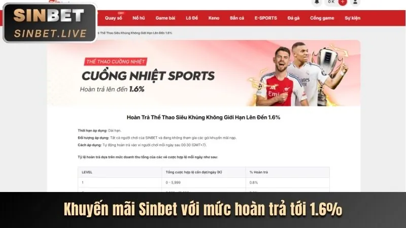 Hoàn trả hàng ngày NN8